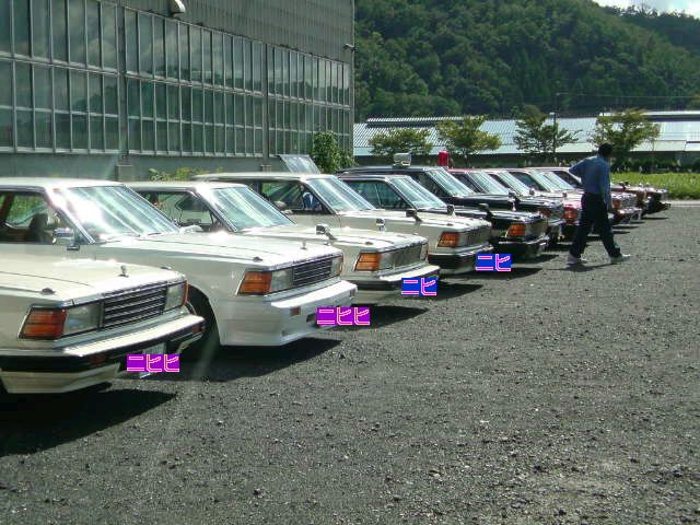 A whole bunch of Nissan Gloria 430s!