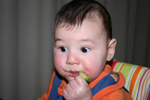 Oliver eating broccoli