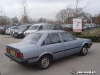 Blue Carina TA60 automatic