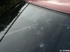 Bullet hole Honda Civic Mk4