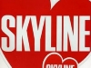 I heart Skyline