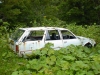 Carina wagon SG rustoseum