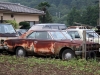 Toyota Crown S50 2 door hardtop