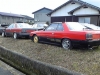 DR30 collection