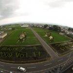 Rice paddy crop art