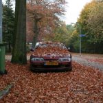 DOTS: Nissan 200SX S14 in fall