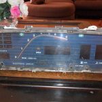 Carina Sightings: Digital Cluster at Ebay