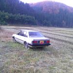 Carina Sightings: Rusty Carina SG in a field