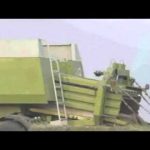 Hilarious: haybailing fun