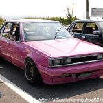 Carina Sightings: pink shakotan Carina AA63