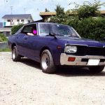 Family Album Treasures: Hottoroddoguroria 330