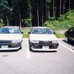 Family Album Treasures: the Levin brothers