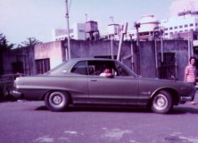 The unloved shortnose skyline c10