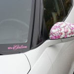 Wangan Warriors meeting 10: Girly cars!