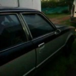 Carina Sightings: Argentinian Carina owner