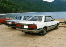 Laurel and its older brother Skyline