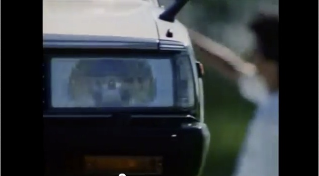 Skyline C211 commercial