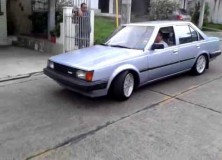 Bafo's Carina TA60