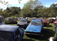 Count the hachis on this Puerto Rican Toyota Cemetery