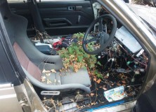Japanese Rustoseums Toyota Carina AA63