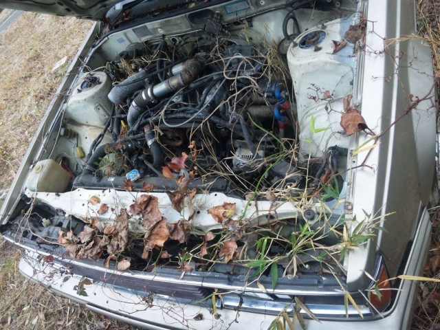 Japanese Rustoseums Toyota Carina AA63