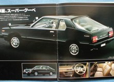 WTF Nissan Pulsar N11