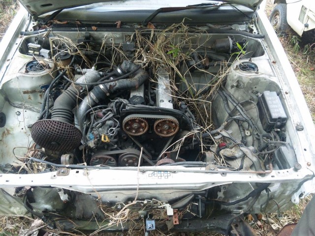 Japanese Rustoseums - Overgrown Toyota Corolla Levin AE86