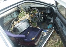 Japanese Rustoseums - Overgrown Toyota Corolla Levin AE86