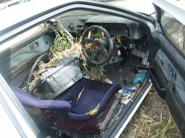 Japanese Rustoseums - Overgrown Toyota Corolla Levin AE86