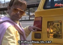 Friday Video: Nomuken drifting a Honda City Turbo II