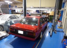 Carina widened steel rims