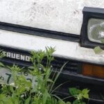 Two-door Trueno AE86 hidden in the foliage – Japanese Rustoseums