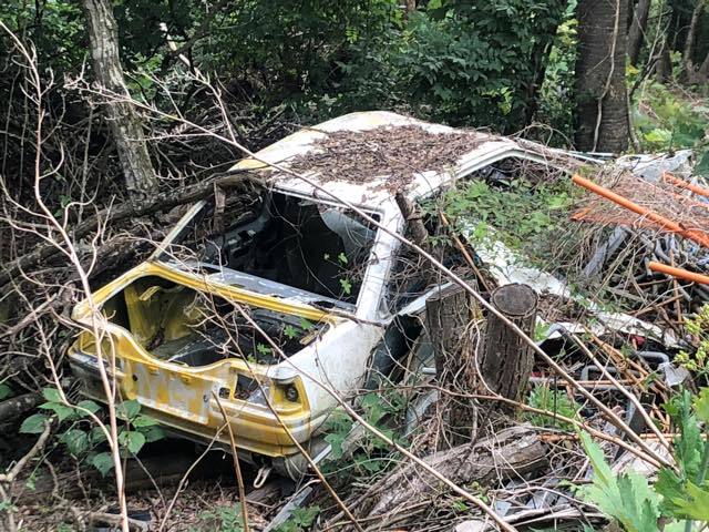 Toyota AE86 slowly consumed by the woods